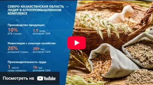 Превью видеоролика о Северо-Казахстанской области 1